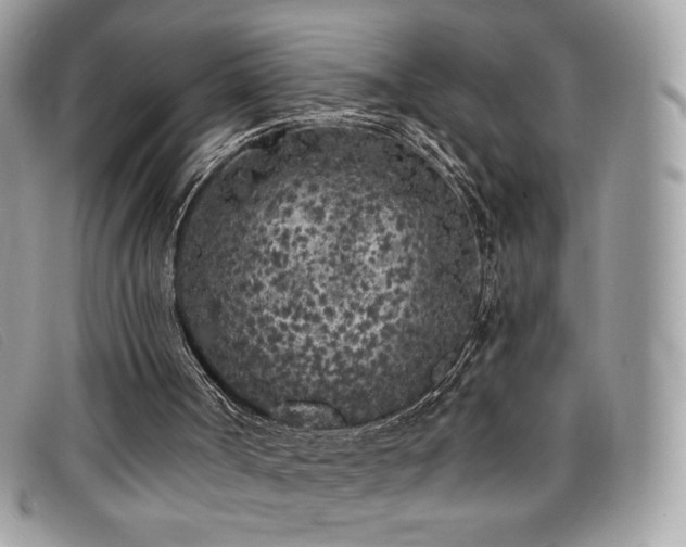 X0000099300002200805021241