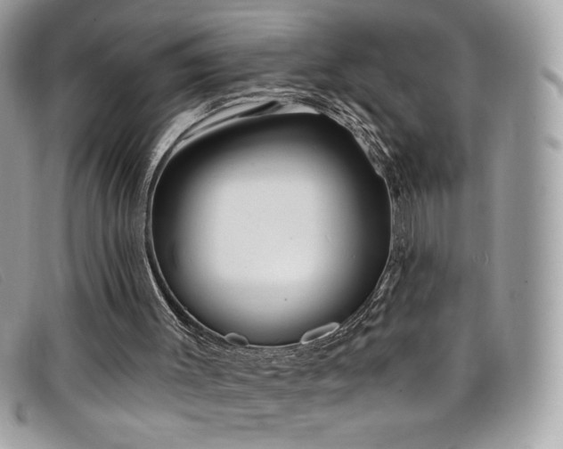 X0000099300003200805021241