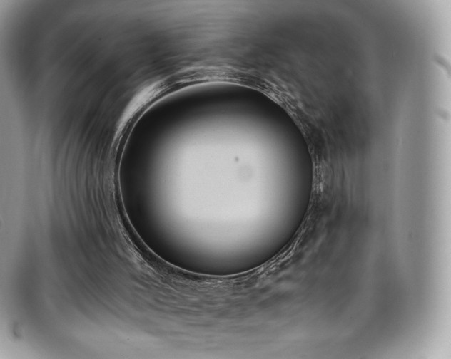 X0000099300004200805021241