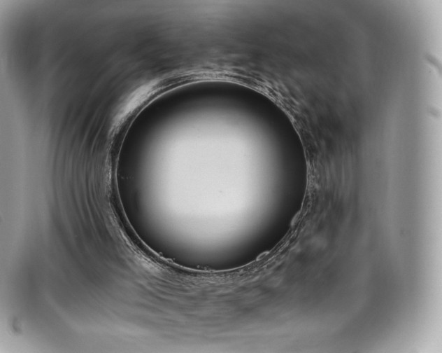 X0000099300005200805021241