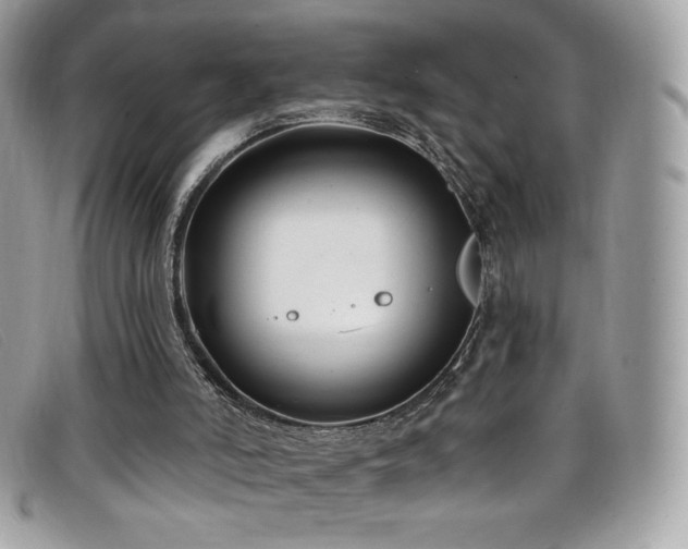 X0000099300006200805021241