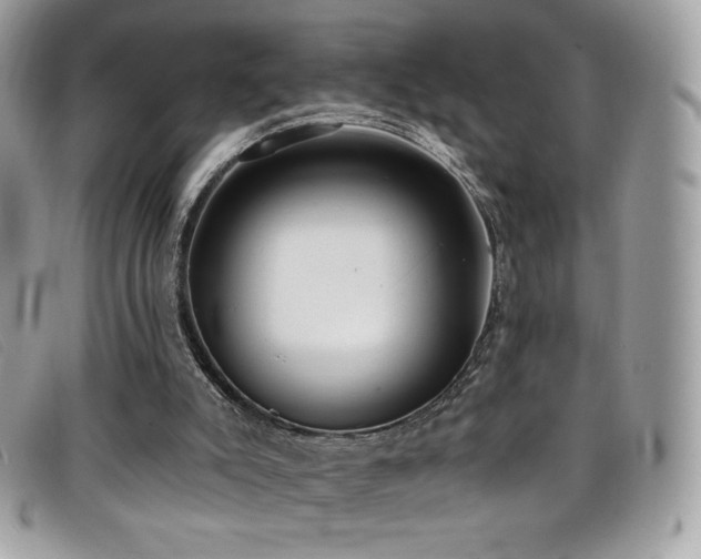 X0000099300007200805021241