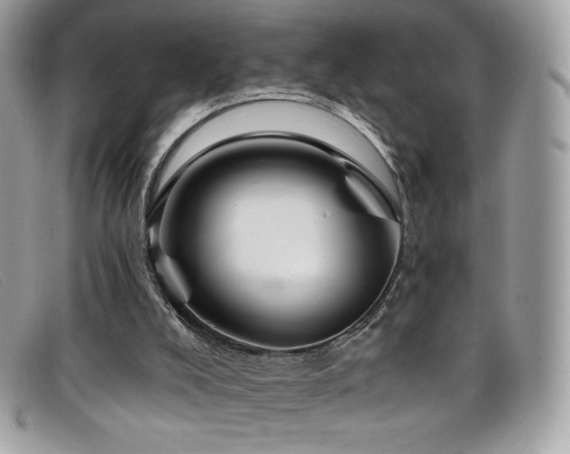 X0000099300008200805021241