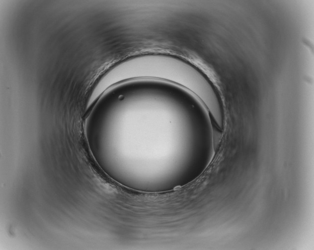 X0000099300009200805021241