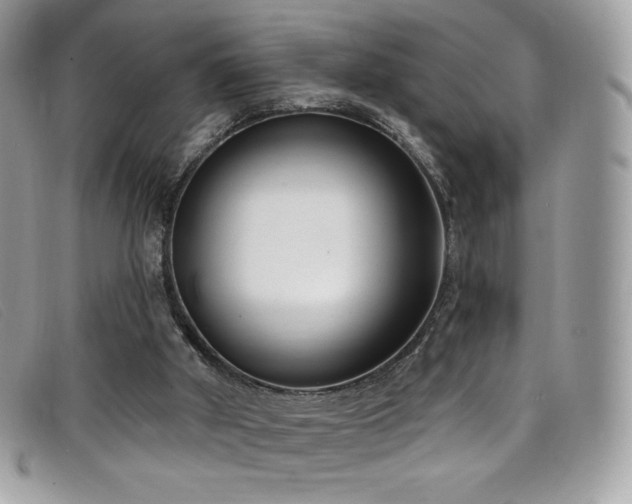 X0000099300010200805021241