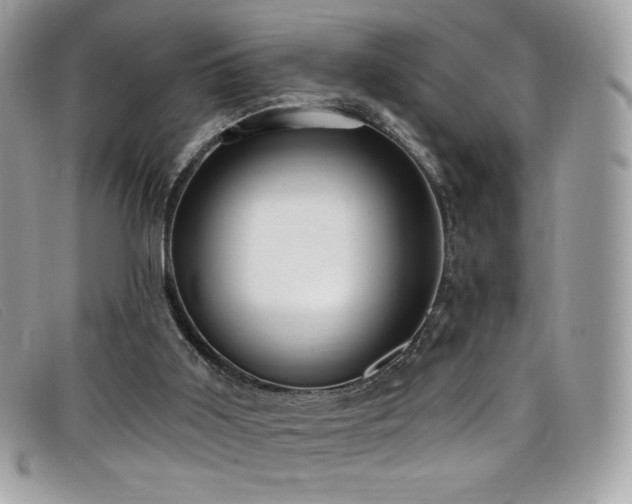 X0000099300011200805021241