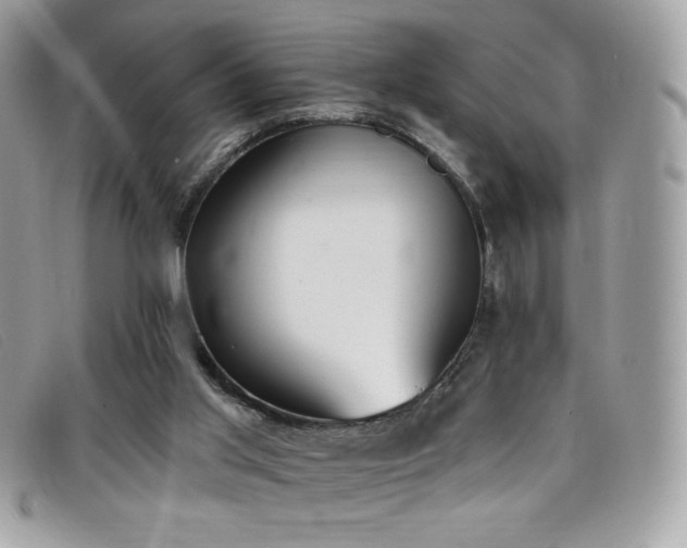 X0000099300013200805021241