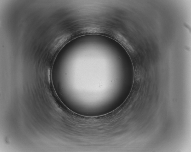 X0000099300014200805021241