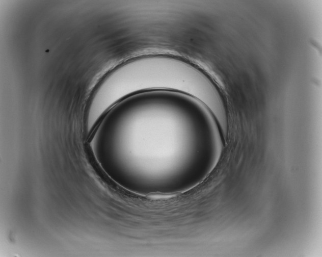 X0000099300015200805021241