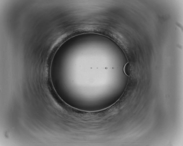 X0000099300016200805021241