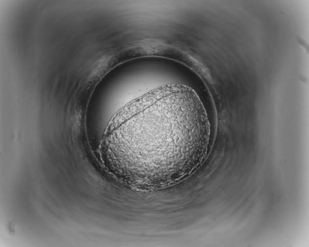 X0000099300018200805021241