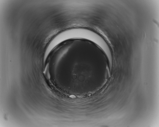 X0000099300019200805021241