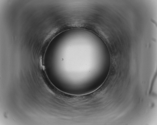 X0000099300020200805021241