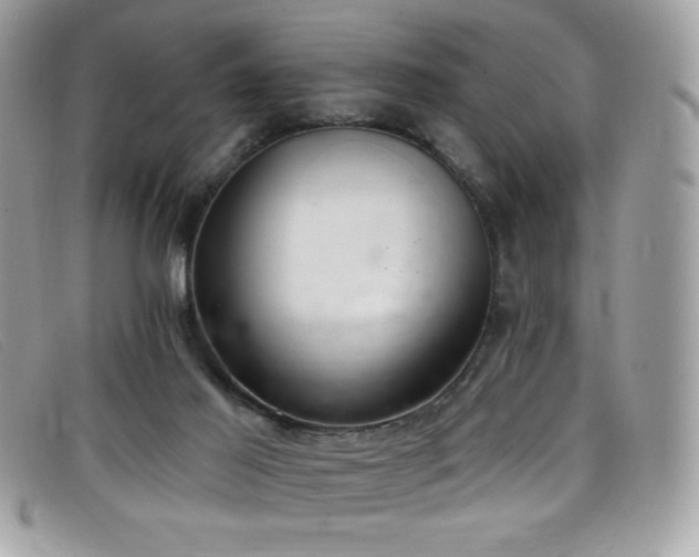 X0000099300021200805021241