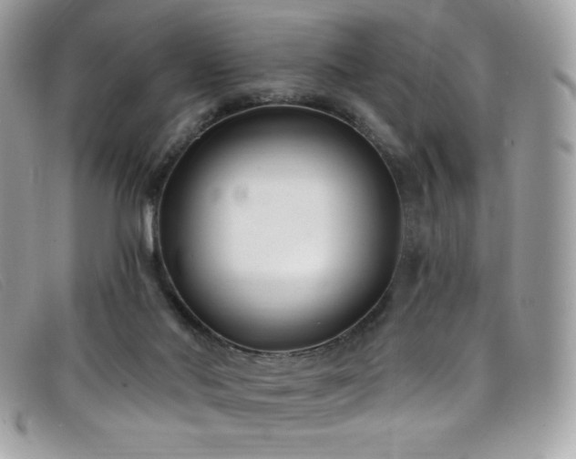 X0000099300022200805021241