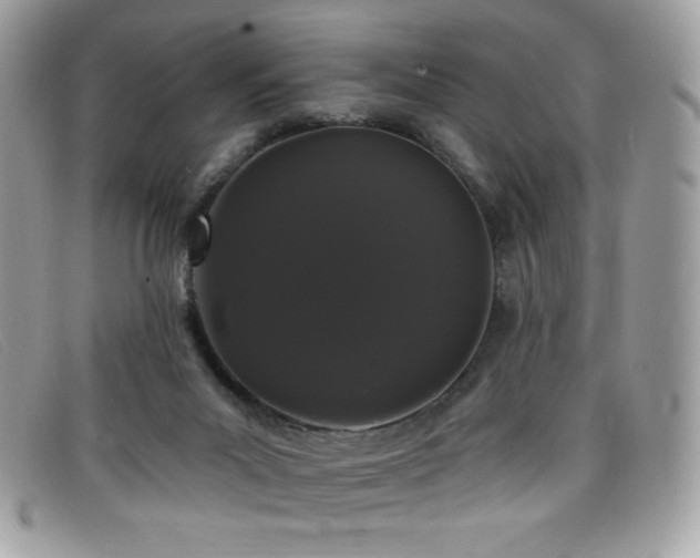 X0000099300023200805021241