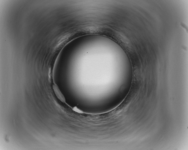 X0000099300024200805021240