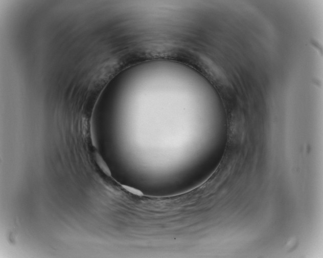 X0000099300025200805021240