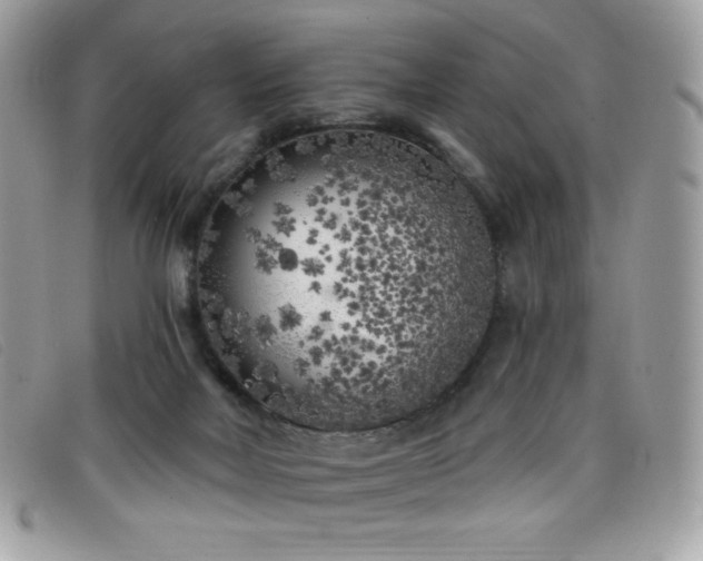 X0000099300026200805021240