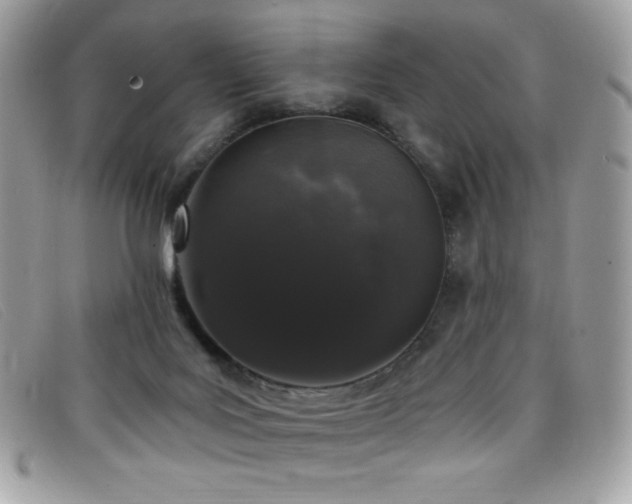 X0000099300027200805021240