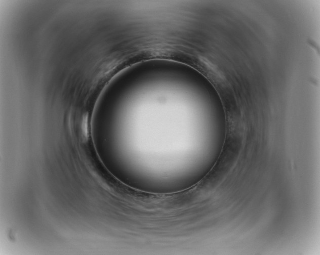 X0000099300028200805021240