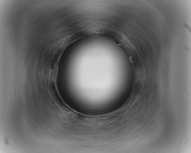 X0000099300029200805021240