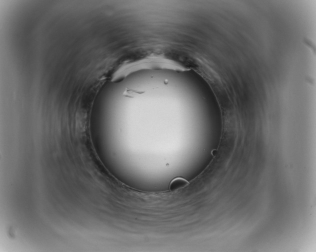 X0000099300030200805021240