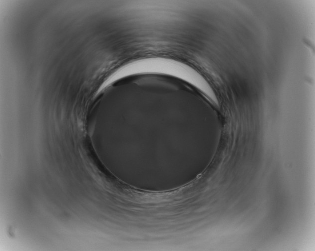 X0000099300031200805021240