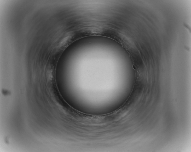 X0000099300032200805021240