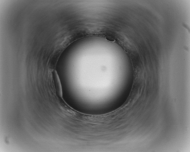 X0000099300033200805021240