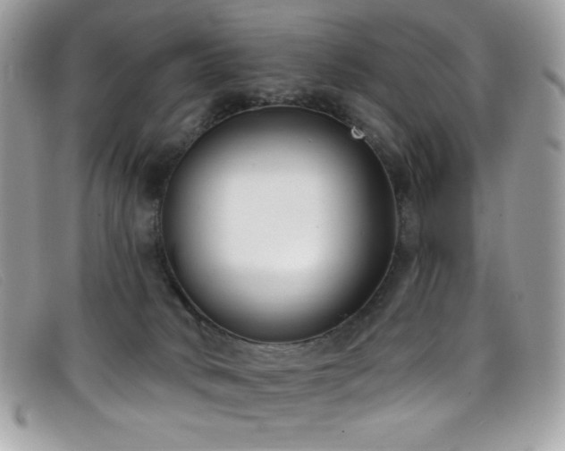 X0000099300034200805021240