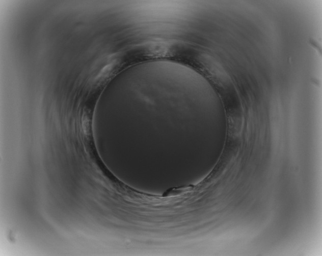 X0000099300035200805021240