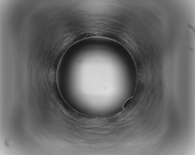 X0000099300036200805021240