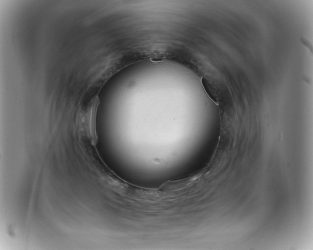 X0000099300037200805021240