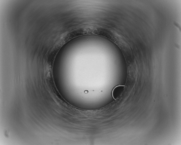 X0000099300038200805021240