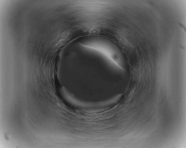 X0000099300039200805021240