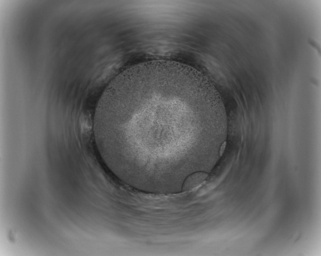 X0000099300040200805021240