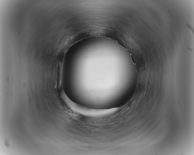 X0000099300041200805021240