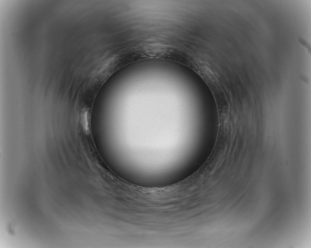 X0000099300042200805021240