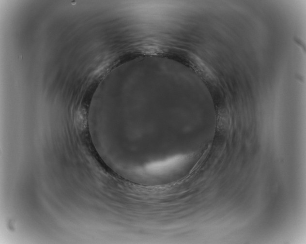 X0000099300043200805021240