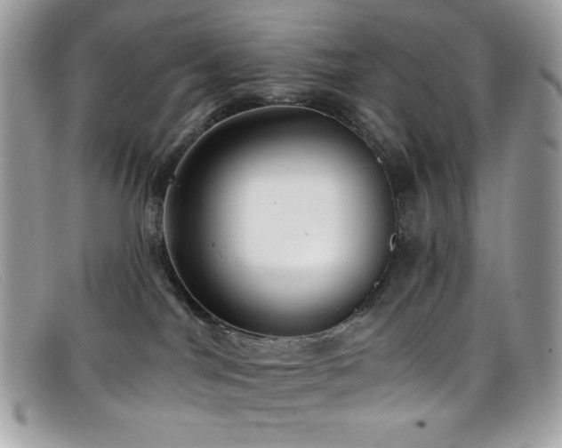 X0000099300044200805021240