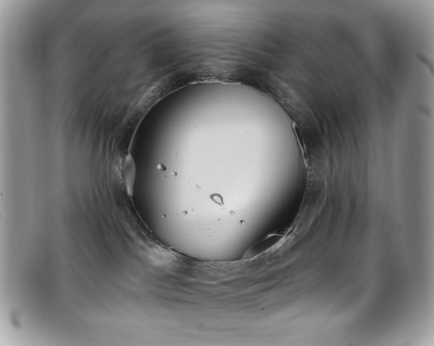 X0000099300045200805021240