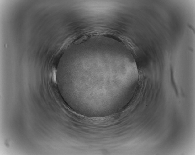 X0000099300046200805021240