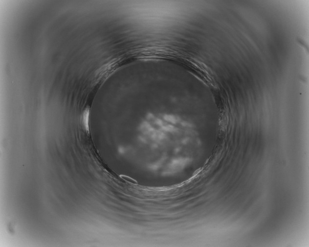 X0000099300047200805021240