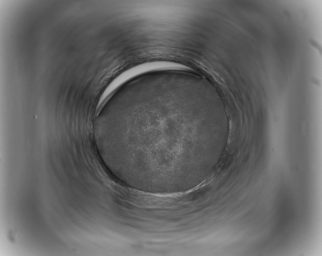 X0000099300048200805021240