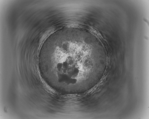 X0000099300049200805021240