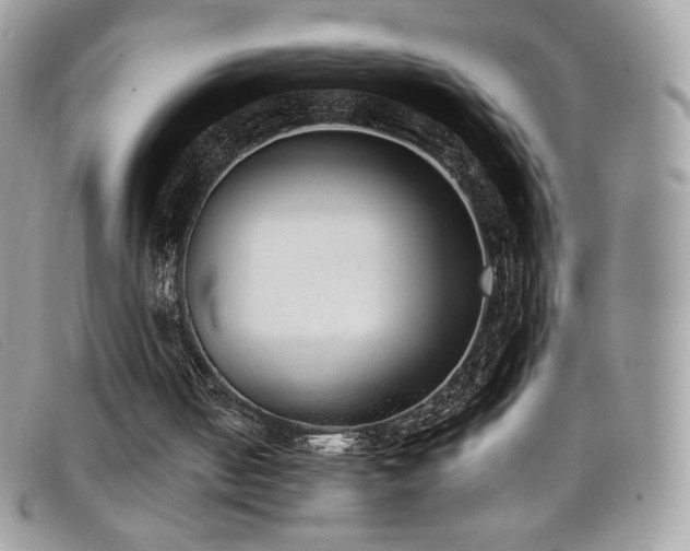 X0000099300050200805021240