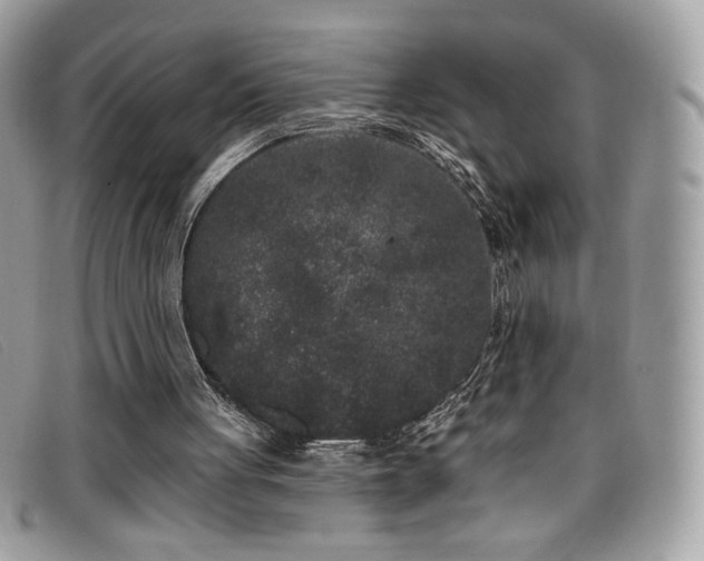 X0000099300051200805021240