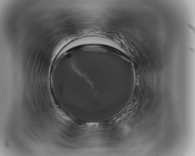 X0000099300052200805021240