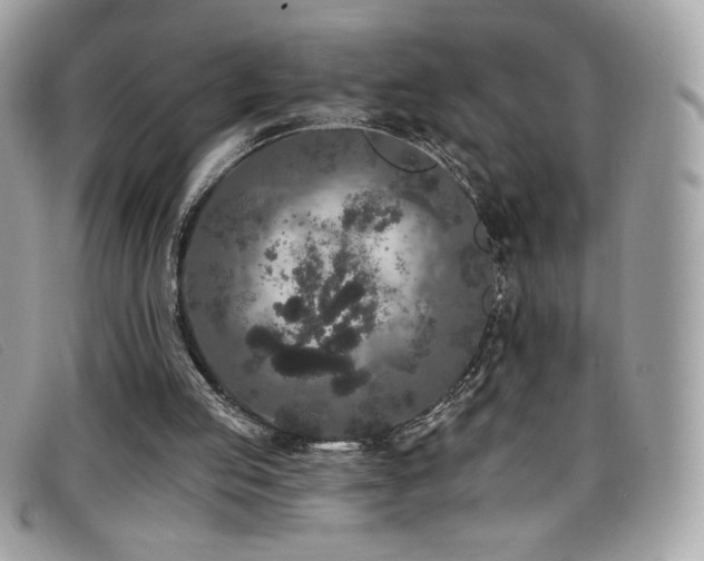 X0000099300053200805021240